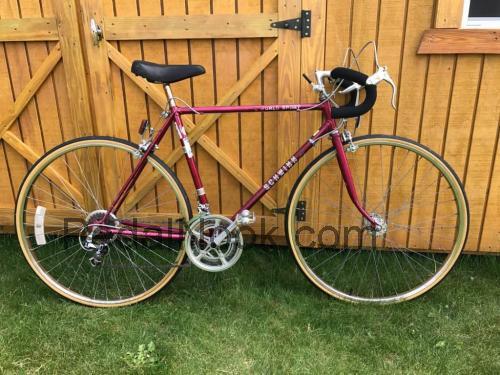 Schwinn World fiche technique et avis